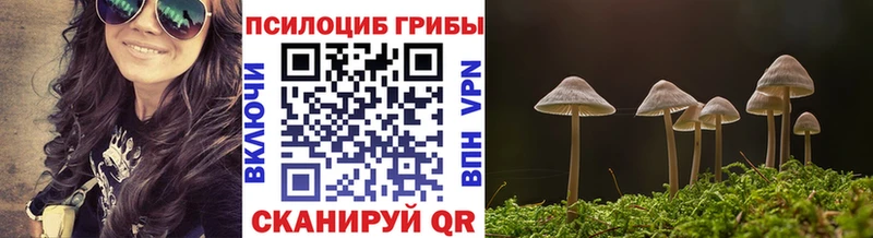 где можно купить наркотик  Анадырь  Галлюциногенные грибы прущие грибы 
